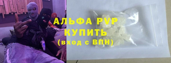стафф Алексин