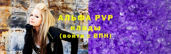 стафф Алексин