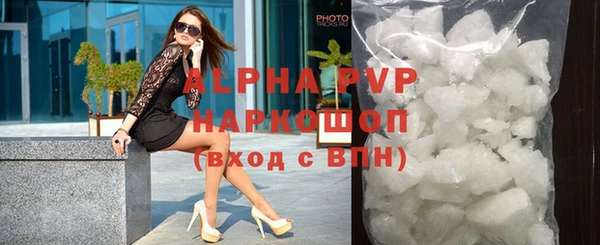 стафф Алексин