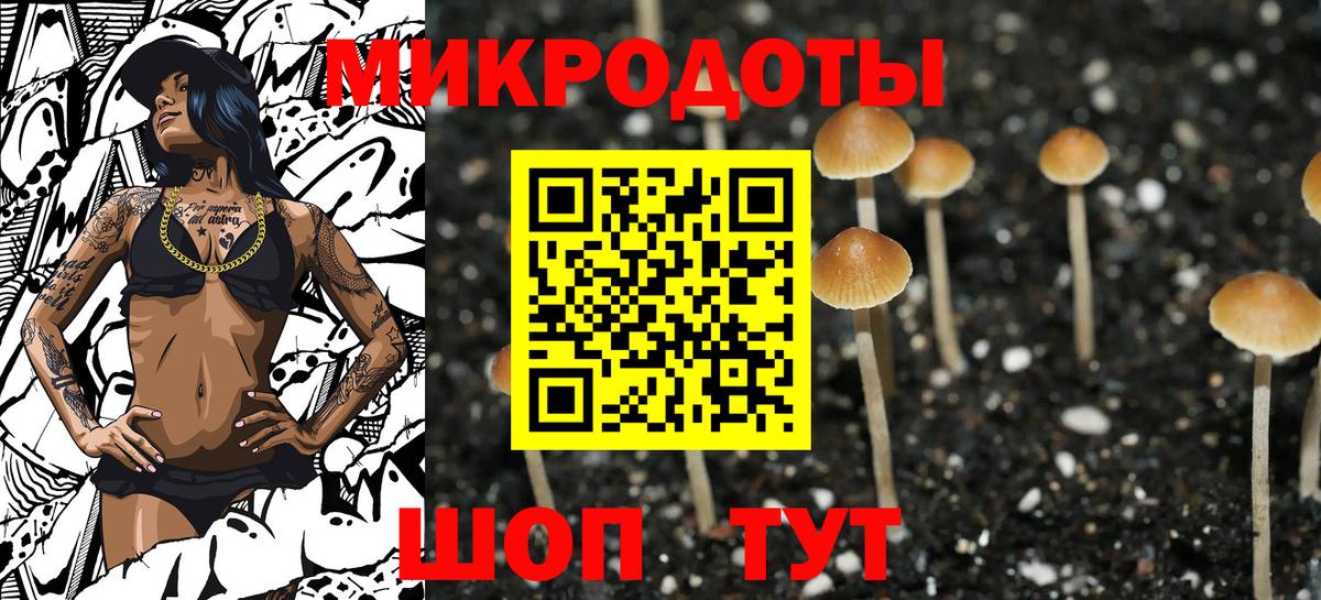 Галлюциногенные грибы Magic Shrooms  Вход с VPN  наркошоп  Казань  Галлюциногенные грибы MAGIC MUSHROOMS 
