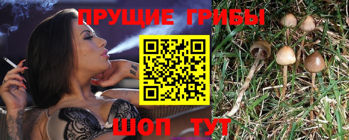 Галлюциногенные грибы ЛСД Казань